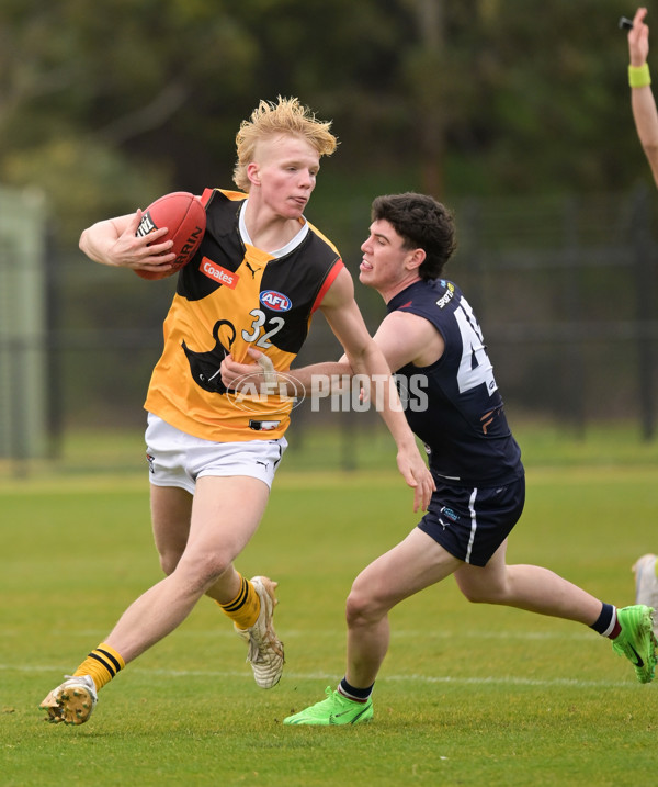 Coates League Boys 2024 - Sandringham v Dandenong - A-51971726