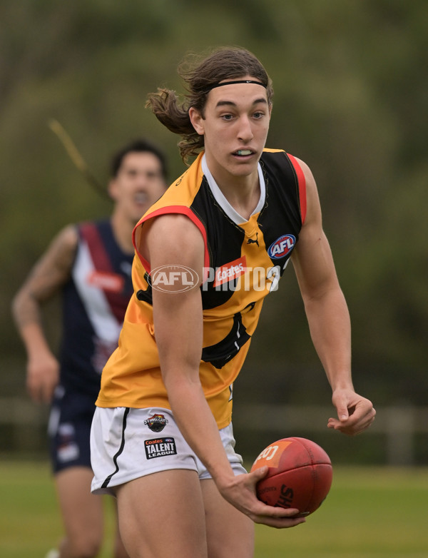 Coates League Boys 2024 - Sandringham v Dandenong - A-51971727