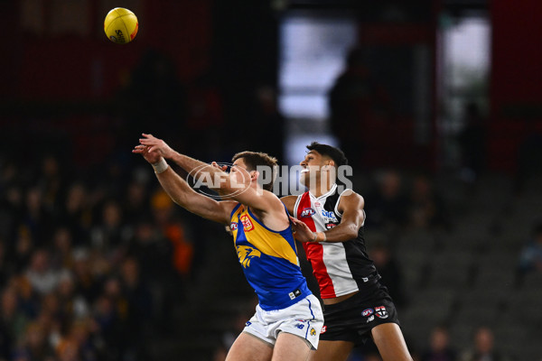 AFL 2024 Round 19 - St Kilda v West Coast - A-51971737