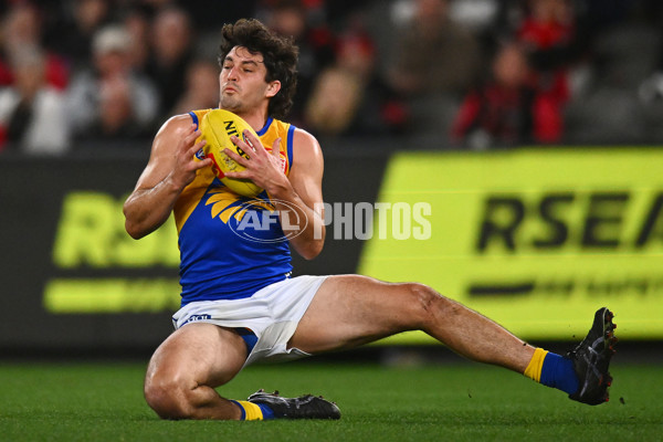 AFL 2024 Round 19 - St Kilda v West Coast - A-51971751