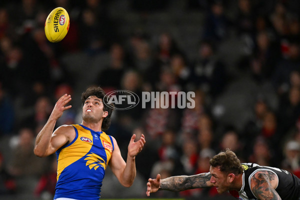 AFL 2024 Round 19 - St Kilda v West Coast - A-51971752
