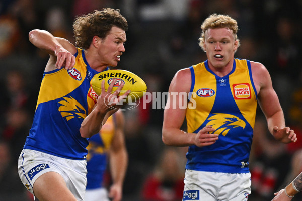 AFL 2024 Round 19 - St Kilda v West Coast - A-51971766