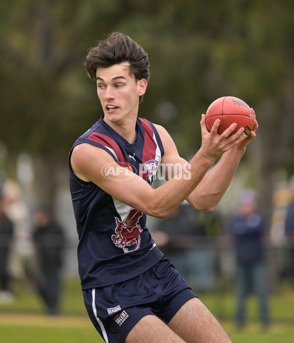 Coates League Boys 2024 - Sandringham v Dandenong - A-51971768