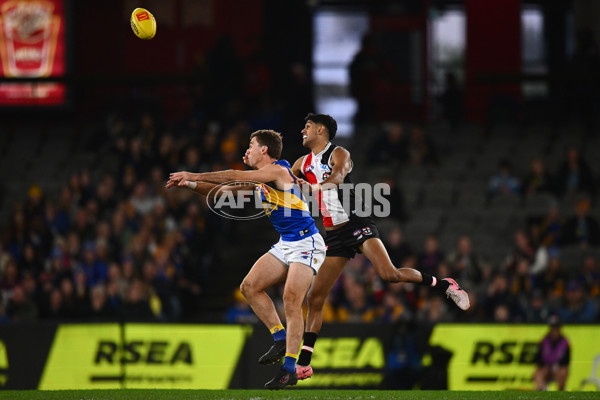 AFL 2024 Round 19 - St Kilda v West Coast - A-51972399