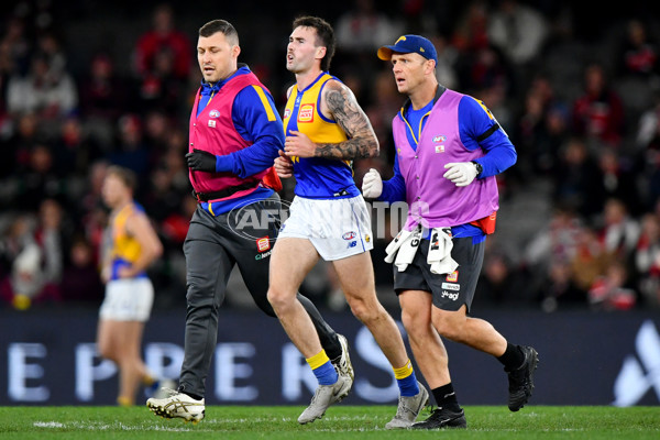 AFL 2024 Round 19 - St Kilda v West Coast - A-51972424