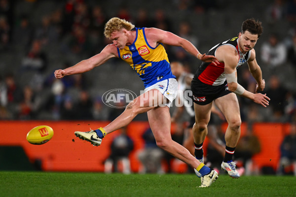 AFL 2024 Round 19 - St Kilda v West Coast - A-51972426