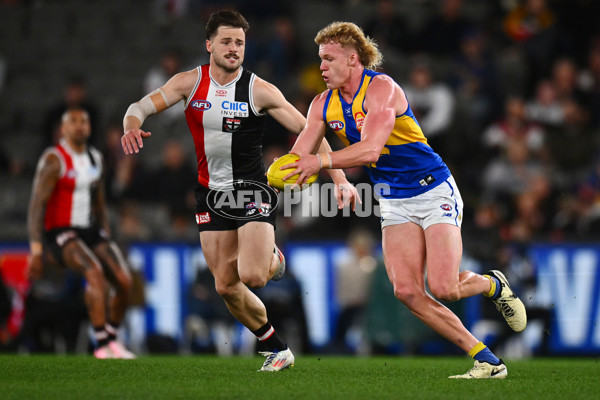 AFL 2024 Round 19 - St Kilda v West Coast - A-51972428