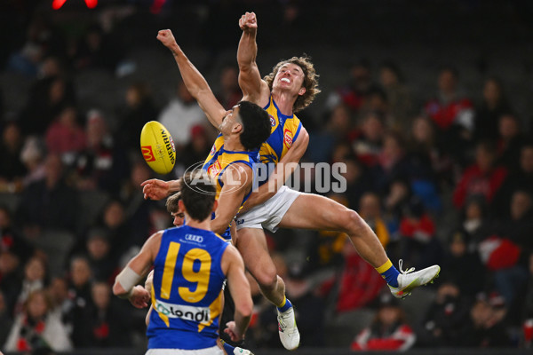 AFL 2024 Round 19 - St Kilda v West Coast - A-51972429