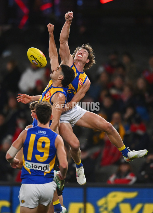 AFL 2024 Round 19 - St Kilda v West Coast - A-51972432