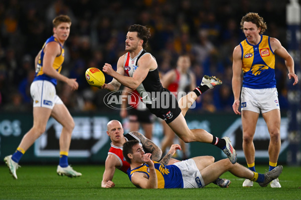 AFL 2024 Round 19 - St Kilda v West Coast - A-51972453