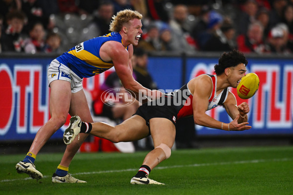 AFL 2024 Round 19 - St Kilda v West Coast - A-51974098