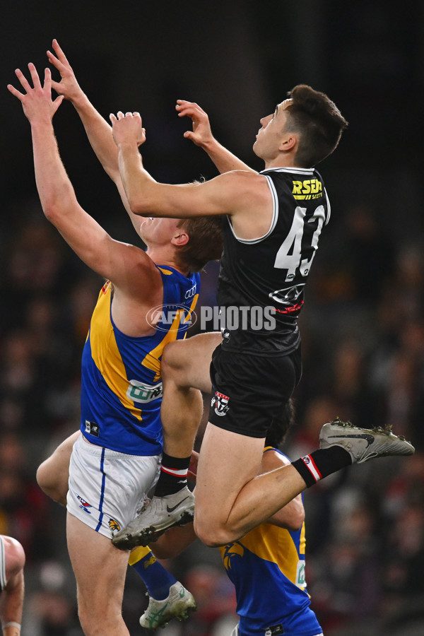 AFL 2024 Round 19 - St Kilda v West Coast - A-51974104