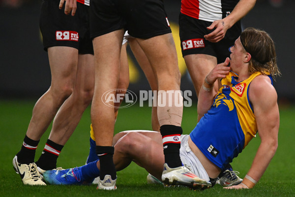 AFL 2024 Round 19 - St Kilda v West Coast - A-51974138