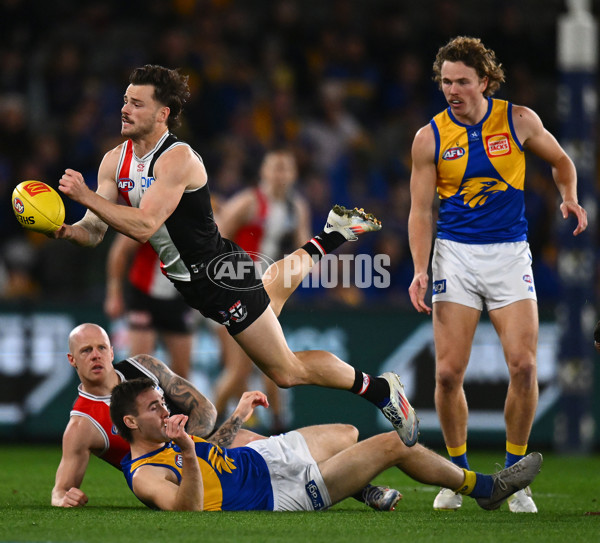 AFL 2024 Round 19 - St Kilda v West Coast - A-51974161