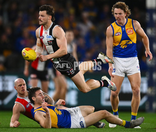 AFL 2024 Round 19 - St Kilda v West Coast - A-51974163