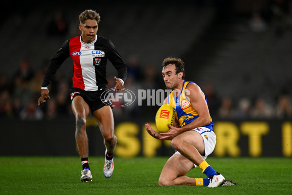 AFL 2024 Round 19 - St Kilda v West Coast - A-51975522