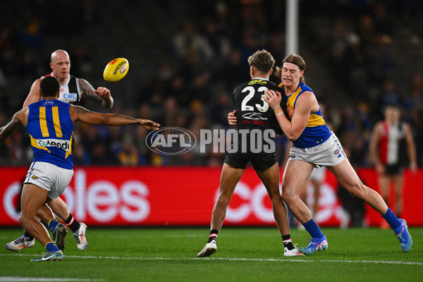 AFL 2024 Round 19 - St Kilda v West Coast - A-51975576