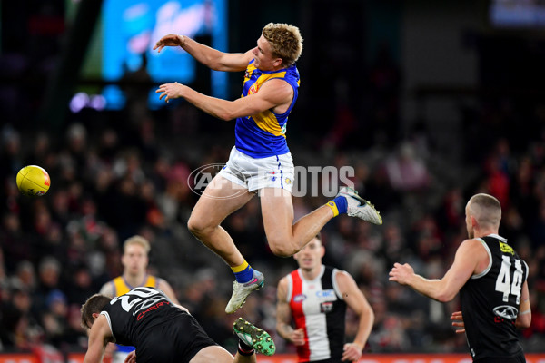 AFL 2024 Round 19 - St Kilda v West Coast - A-51975585