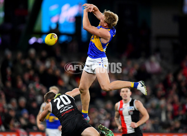 AFL 2024 Round 19 - St Kilda v West Coast - A-51975586