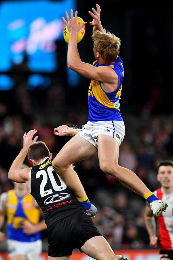 AFL 2024 Round 19 - St Kilda v West Coast - A-51975587