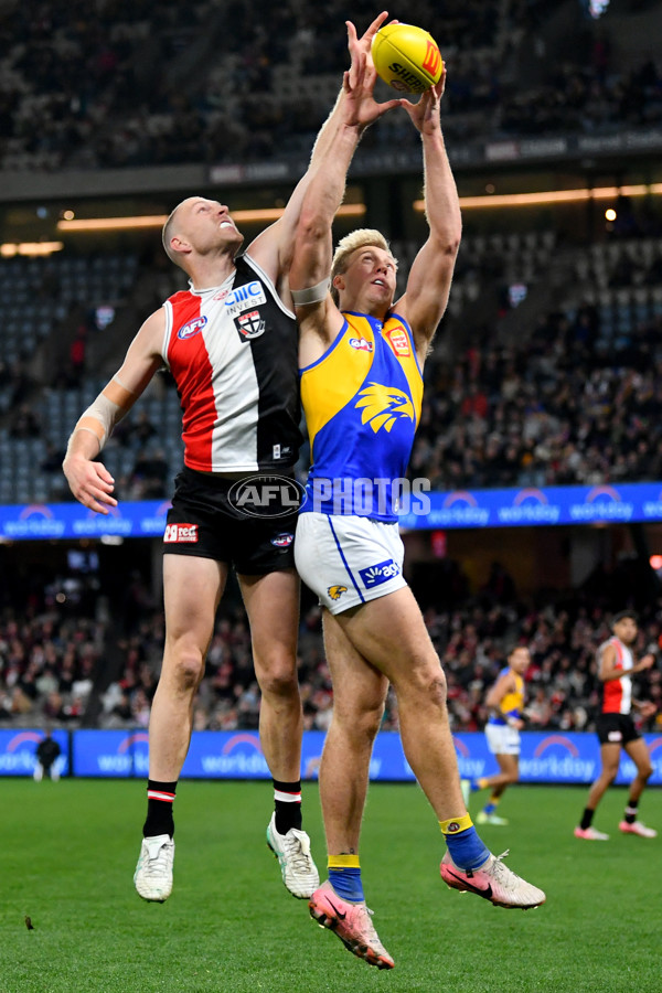 AFL 2024 Round 19 - St Kilda v West Coast - A-51976941