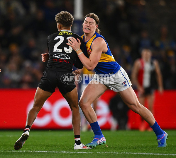 AFL 2024 Round 19 - St Kilda v West Coast - A-51976956