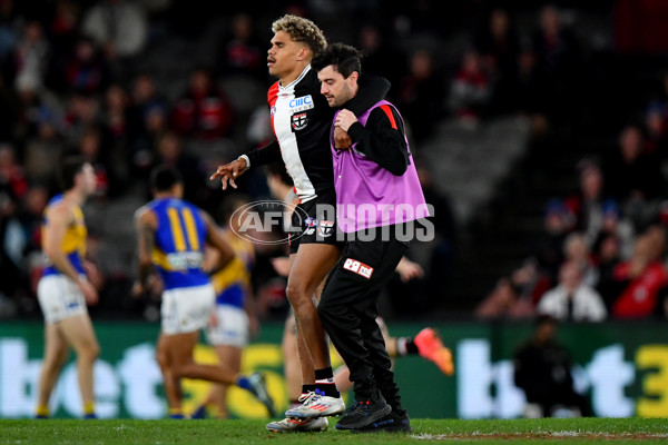 AFL 2024 Round 19 - St Kilda v West Coast - A-51976958