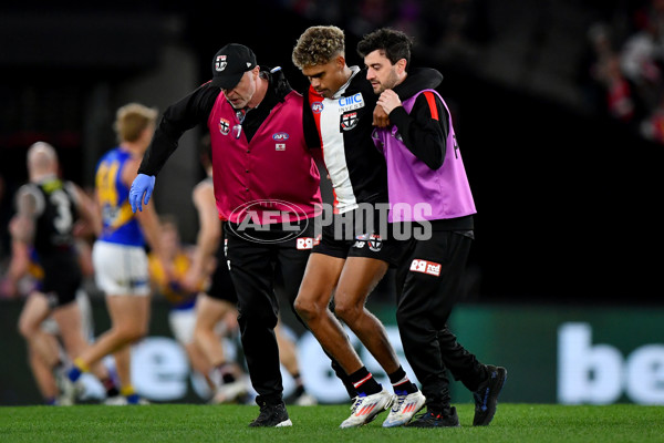 AFL 2024 Round 19 - St Kilda v West Coast - A-51976961