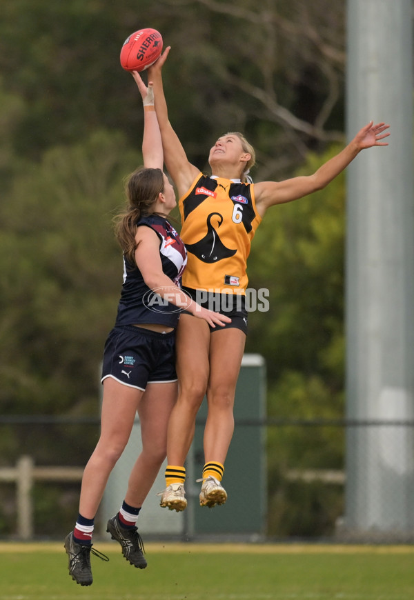 Coates League Girls 2024 - Sandringham v Dandenong - A-51976984