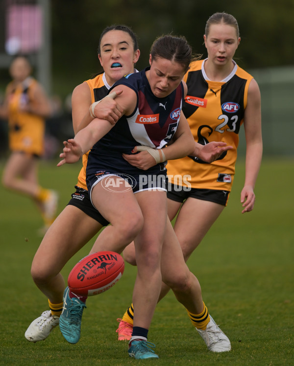 Coates League Girls 2024 - Sandringham v Dandenong - A-51976985