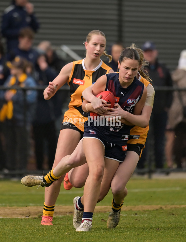 Coates League Girls 2024 - Sandringham v Dandenong - A-51976986