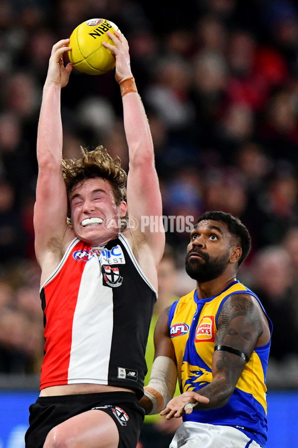 AFL 2024 Round 19 - St Kilda v West Coast - A-51978541