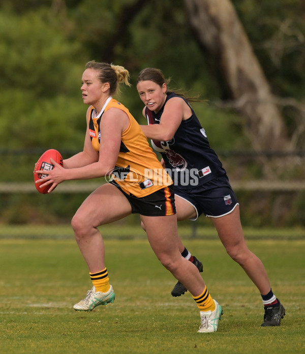 Coates League Girls 2024 - Sandringham v Dandenong - A-51978550