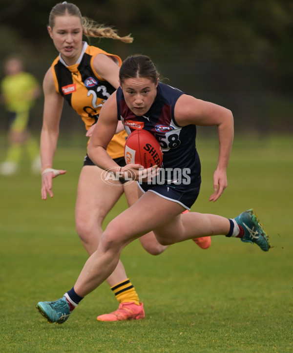 Coates League Girls 2024 - Sandringham v Dandenong - A-51978551