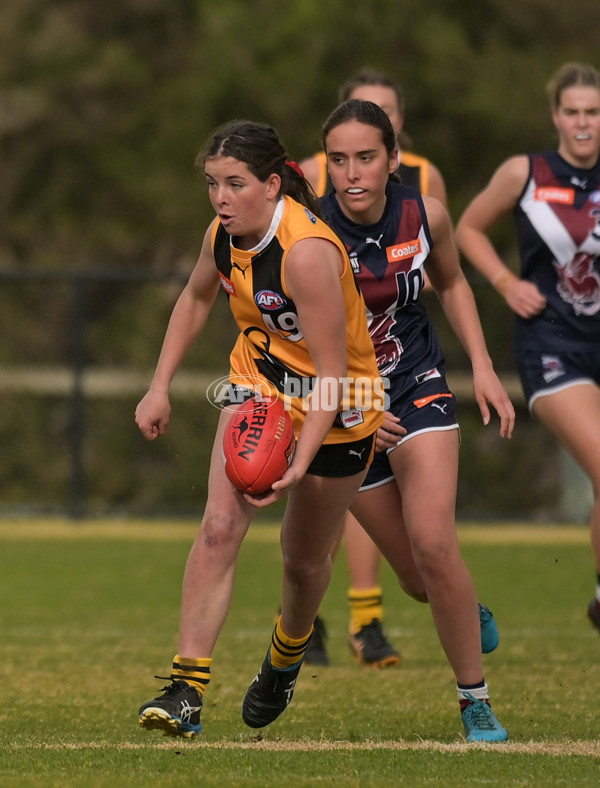 Coates League Girls 2024 - Sandringham v Dandenong - A-51978552