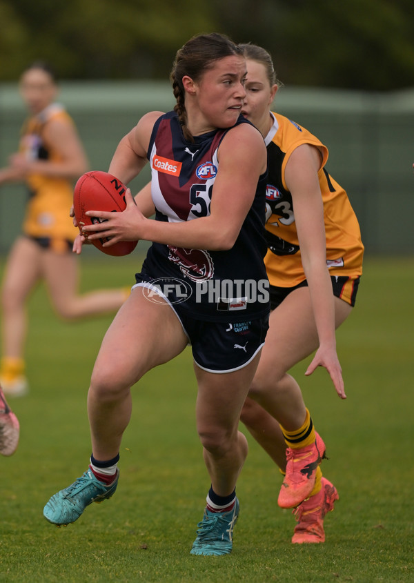 Coates League Girls 2024 - Sandringham v Dandenong - A-51978553