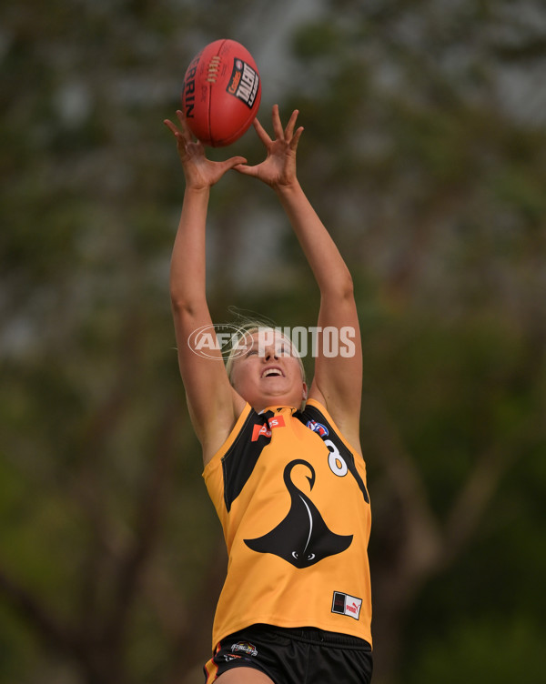 Coates League Girls 2024 - Sandringham v Dandenong - A-51978555