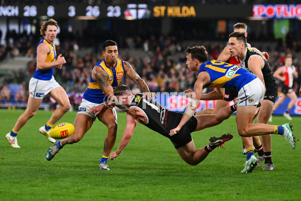 AFL 2024 Round 19 - St Kilda v West Coast - A-51978591