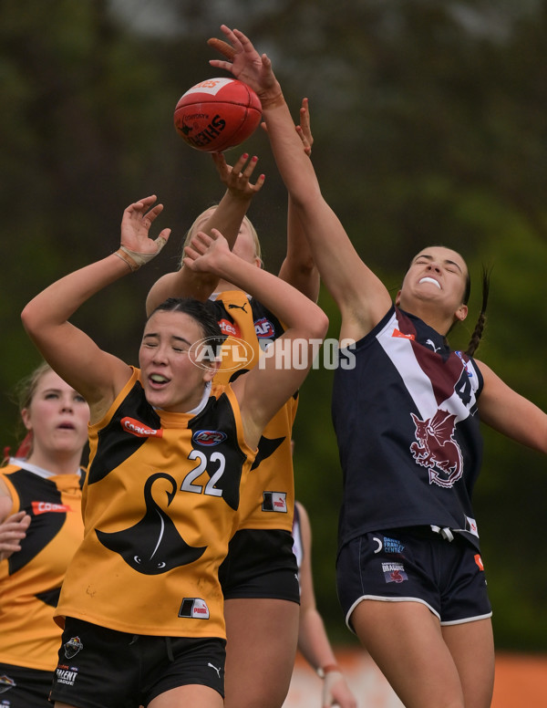 Coates League Girls 2024 - Sandringham v Dandenong - A-51979983