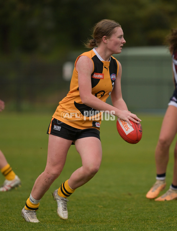 Coates League Girls 2024 - Sandringham v Dandenong - A-51979984