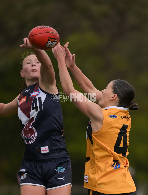 Coates League Girls 2024 - Sandringham v Dandenong - A-51979985