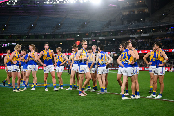 AFL 2024 Round 19 - St Kilda v West Coast - A-51979996