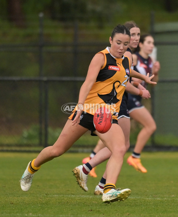 Coates League Girls 2024 - Sandringham v Dandenong - A-51980010