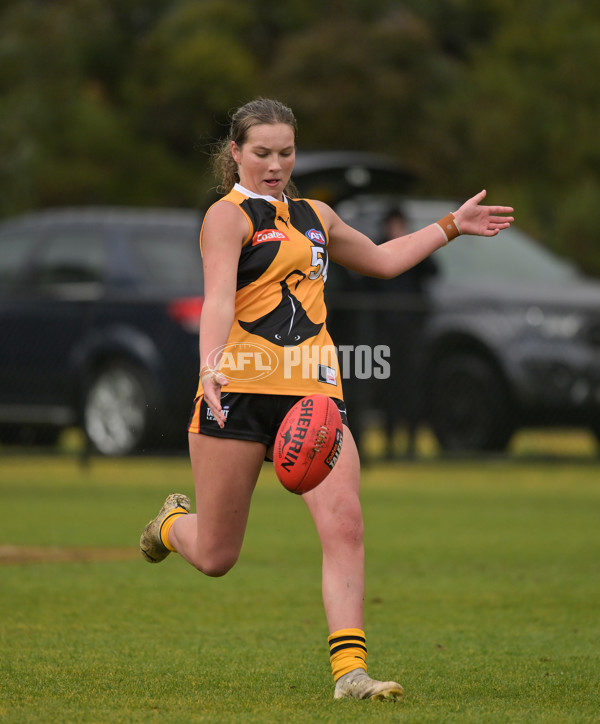 Coates League Girls 2024 - Sandringham v Dandenong - A-51981174