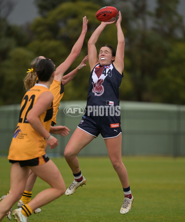 Coates League Girls 2024 - Sandringham v Dandenong - A-51981176