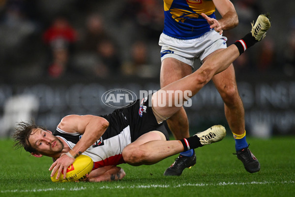 AFL 2024 Round 19 - St Kilda v West Coast - A-51981236