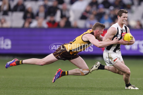 AFL 2024 Round 19 - Hawthorn v Collingwood - A-51983366