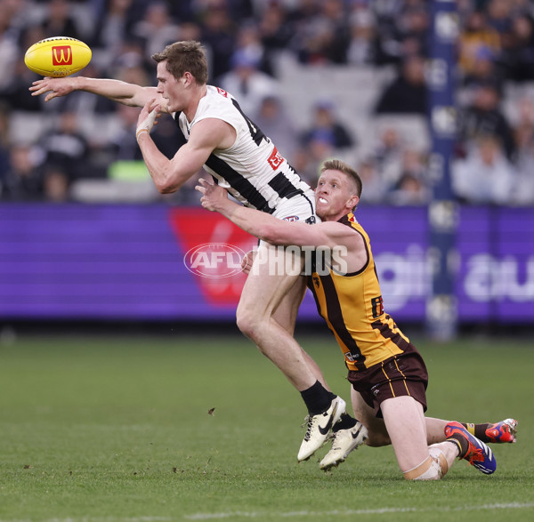 AFL 2024 Round 19 - Hawthorn v Collingwood - A-51983367