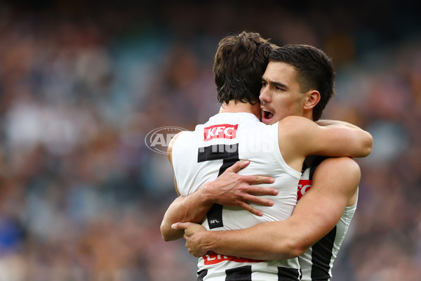 AFL 2024 Round 19 - Hawthorn v Collingwood - A-51983589