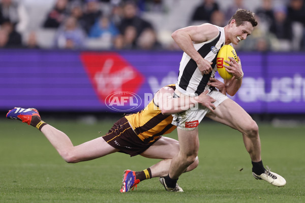 AFL 2024 Round 19 - Hawthorn v Collingwood - A-51983671